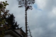 RIZIKOVE-KACENI-8
