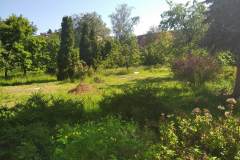 ZAHRAD-PRACE-3